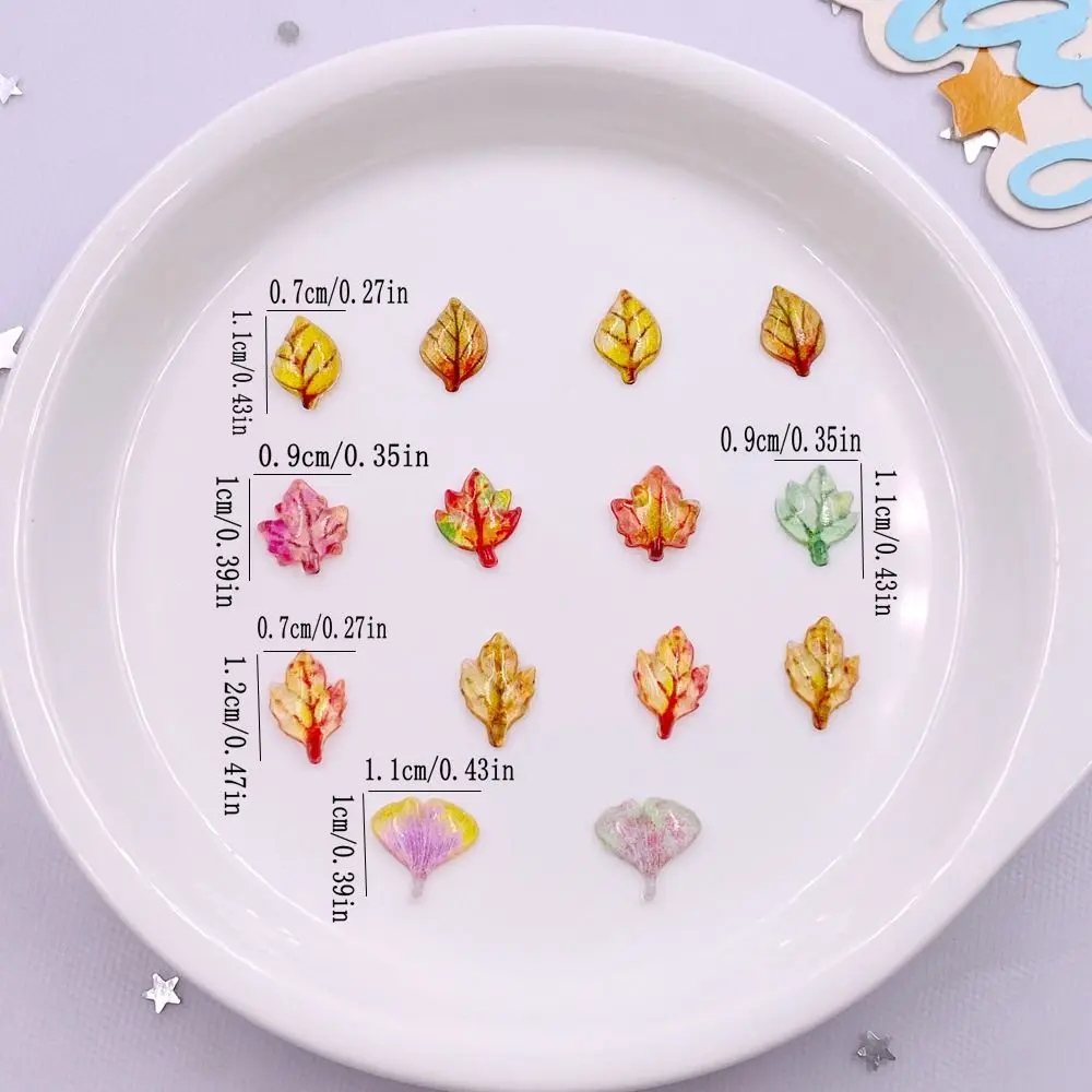 50pcs 혼합 수지 미니 크리스탈 다채로운 단풍 나무 - Paradise Jewelry & Watches Dolphin Mall 리뷰 및 가격
