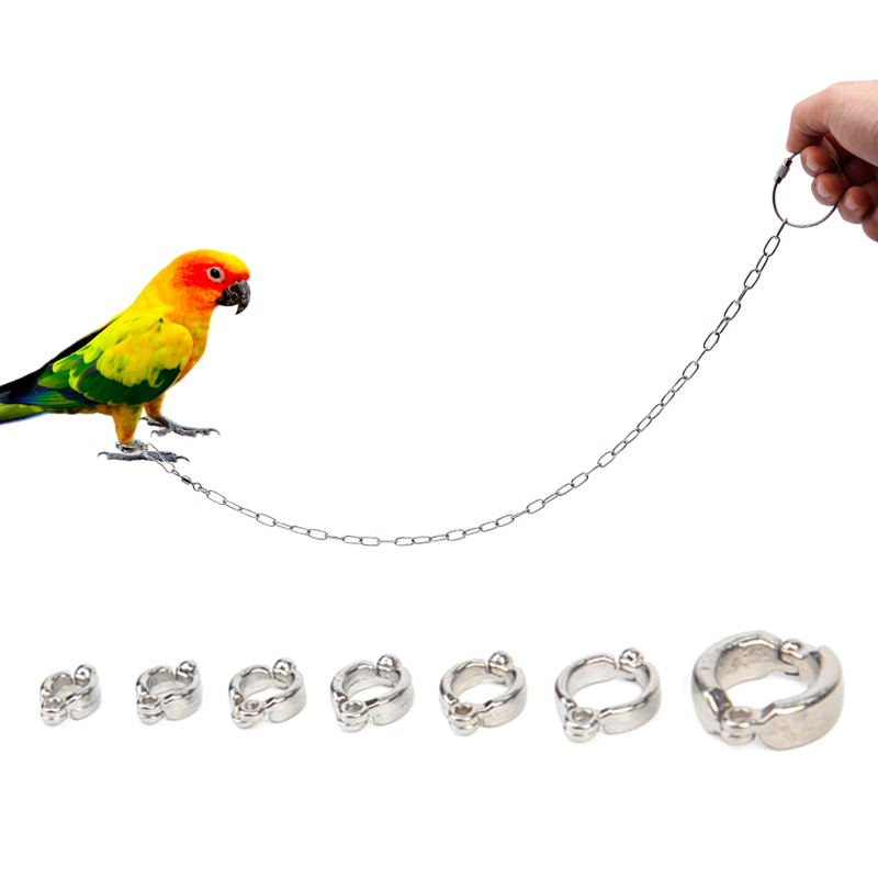 스테인리스 스틸 앵무새 발찌 체인, 새 발목 발찌, 물 - Anklet Foot Chain 리뷰 및 가격